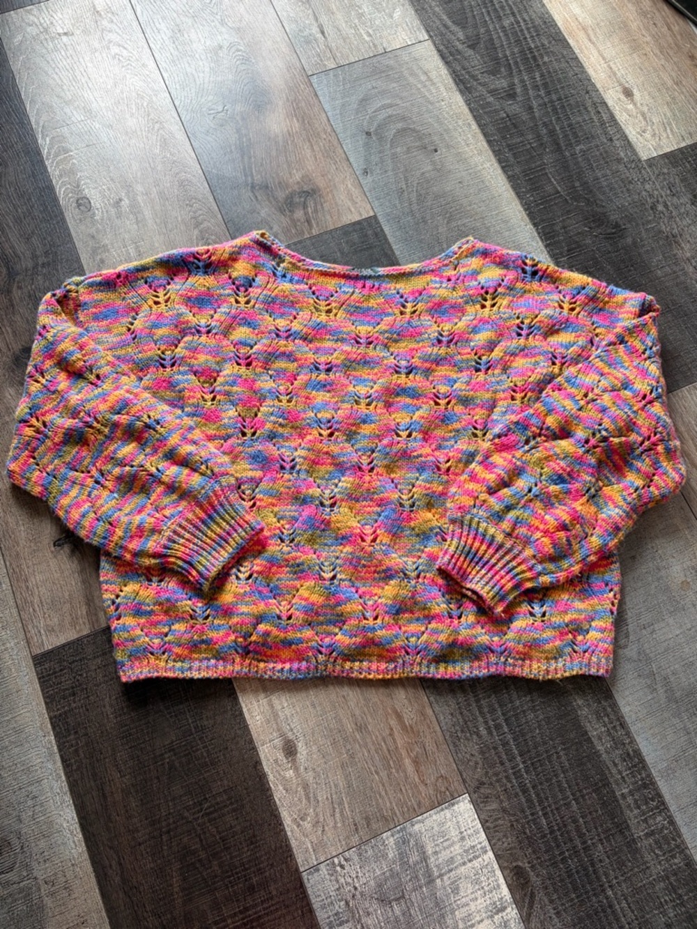 Wild Fable Multicolor Chunky Knit Balloon Sleeve Sweater 2X